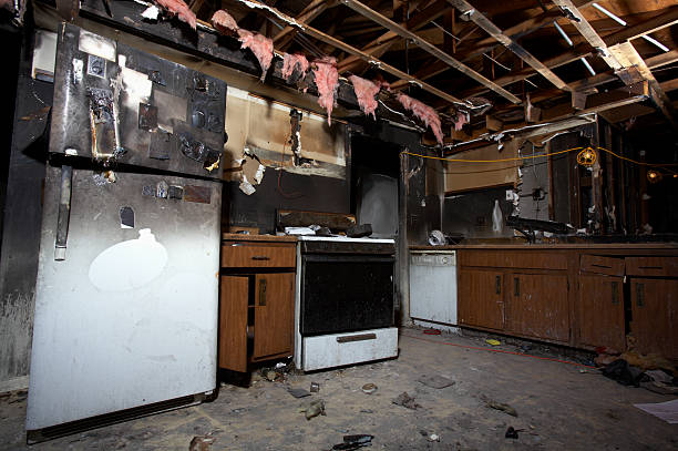 Affordable Fire Damage Removal solutions in Chester, MD